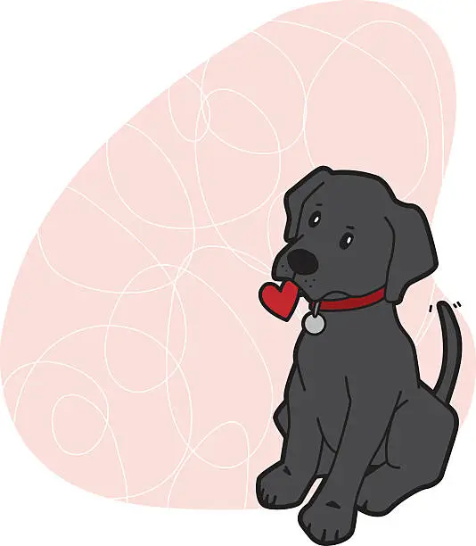 Vector illustration of Black Labrador puppy love