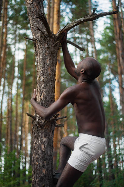mâle noir avec sans chemise grimpe un arbre - sportsman tree people recreational pursuit photos et images de collection