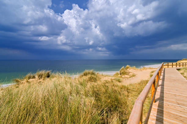 Sylt - North Friesland - Germany