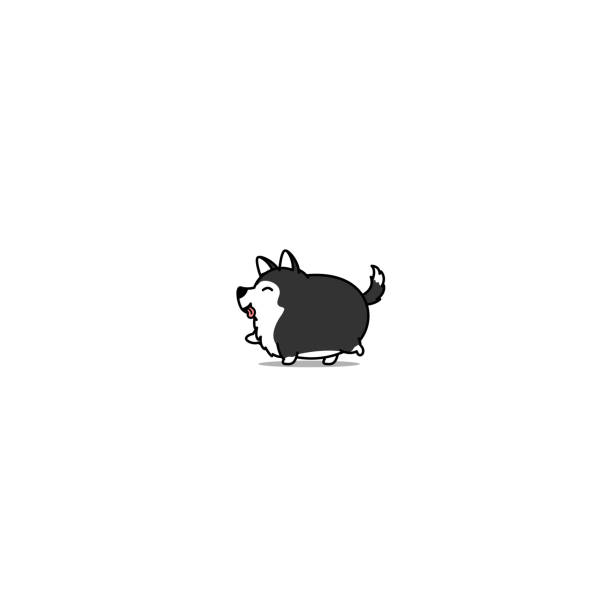 Fat siberian husky dog walking cartoon icon, vector illustration Fat siberian husky dog walking cartoon icon, vector illustration fat humor black expressing positivity stock illustrations