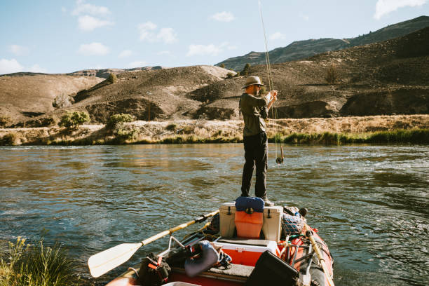 Stringer of Sockeye salmon on the Kenai River Alaska