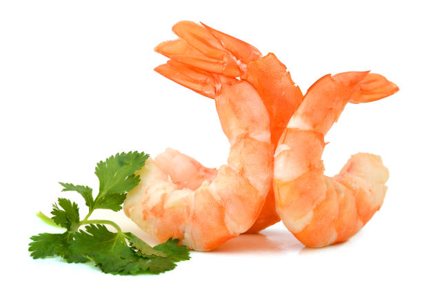istock cooked unshelled tiger shrimps isolated on white 1043836202