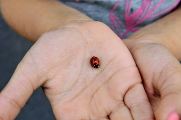 istock Girl with a ladybug 1043838058