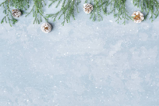 christmas and new year snowy background with twigs and cones. - spruce tree fotos imagens e fotografias de stock