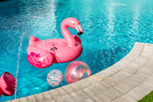 Vacations with flamingos Nice vacations with swimming pool, coconut palm tree and flamingos in Miami Beach. inflatable stock pictures, royalty-free photos & images