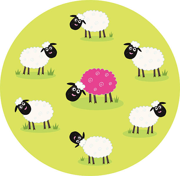 Pink sheep inside white sheeps vector art illustration