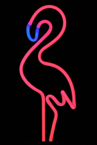 istock Neon Pink Flamingo 104385271