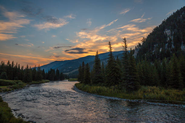 A River Runs Through It. Sunrise over the scenic Gallatin River, made famous by the 1992 film. montana western usa photos stock pictures, royalty-free photos & images