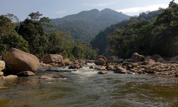 istock The Rio Cumbaza 1043868904
