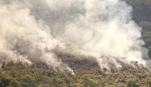 istock Fire near Gocta Falls 1043873474