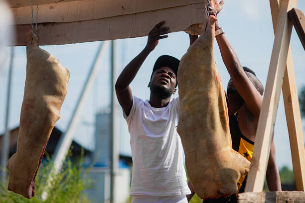 istock Black butchers hang pork carcasses for later processing outdoors in the countryside 1043880900