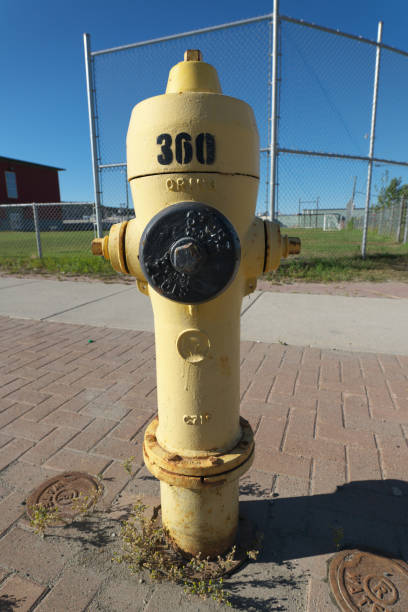 istock Yellow Fire Hydrant on a street in Whitehorse, Canada 1043882042
