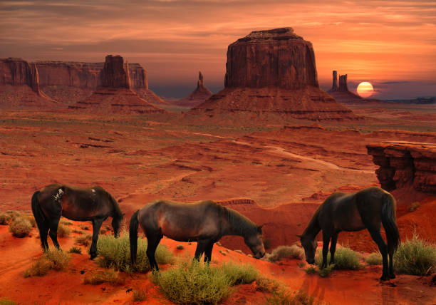 cavalli al john ford's point overlook nel monument valley tribal park, arizona usa - arizona desert landscape monument valley foto e immagini stock