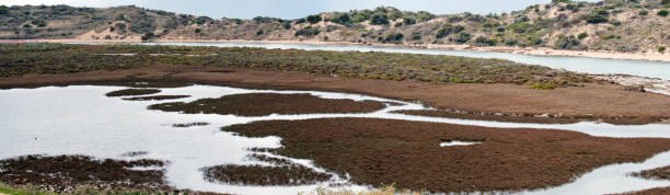 istock Port Noarlunga South 1043894266