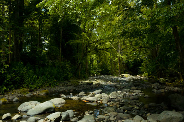 RIVER - COATEPEC - XALAPA - PIEDRAS - NATURE