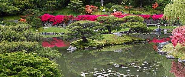 orientalische water garden - water lily lily water water garden stock-fotos und bilder