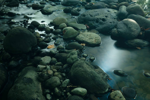 istock LOAD RIVER - COATEPEC - XALAPA - STONES - NATURE 1043909202
