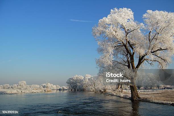 De Invierno Paisaje Del Río Foto de stock y más banco de imágenes de Agua helada - Agua helada, Aire libre, Alemania