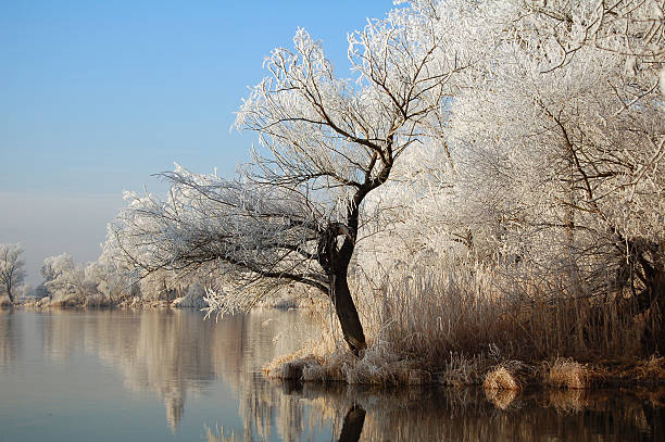 istock winter landscape of a river 104390944