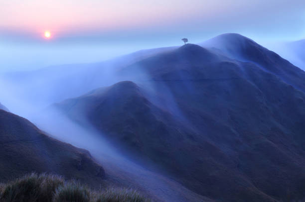 wschód słońca na górze pulag na filipinach - lone tree zdjęcia i obrazy z banku zdjęć