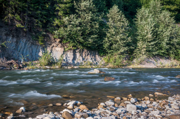 istock mountain river in the valley after the rain on a summer 1043917680
