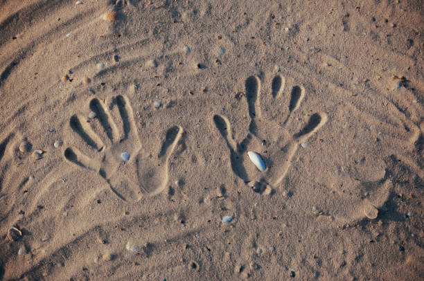 istock Seashore beach with sand, footprints in the sand, sand and seashells summer 1043924048