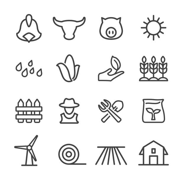 illustrations, cliparts, dessins animés et icônes de élevage et agriculture icons - série en ligne - seed human hand wheat cereal plant