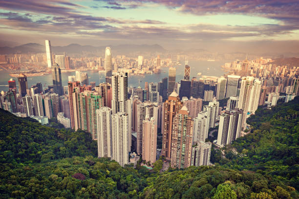 blick auf die innenstadt von hongkong aus victoria peak. - 7654 stock-fotos und bilder