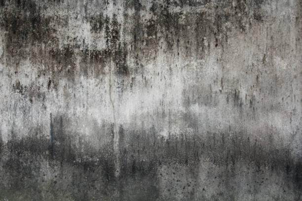 istock old dirty grunge cement wall background. concrete wall dirty background 1043930546