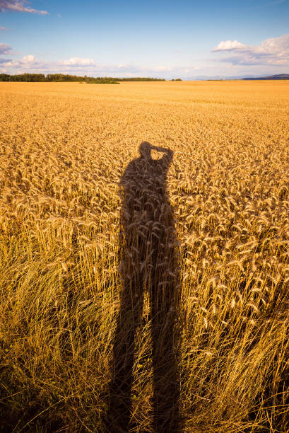 istock Shadow of man photographing field 1043930664
