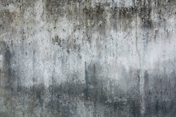 istock old dirty grunge cement wall background. concrete wall dirty background 1043931104