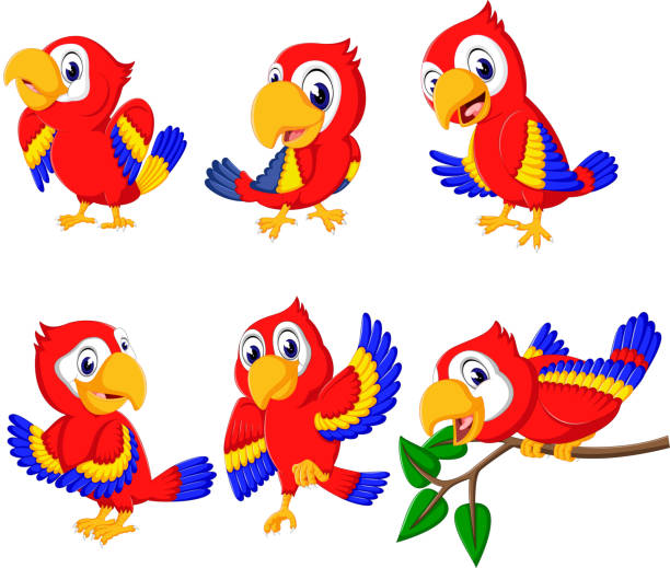 ilustrações, clipart, desenhos animados e ícones de a coleção de belas papagaios vermelhos com a posar de diferentes - parrot multi colored bird perching