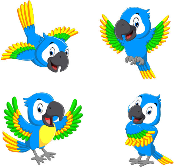 коллекция голубых попугаев со счастливыми лицами - parrot multi colored bird perching stock illustrations