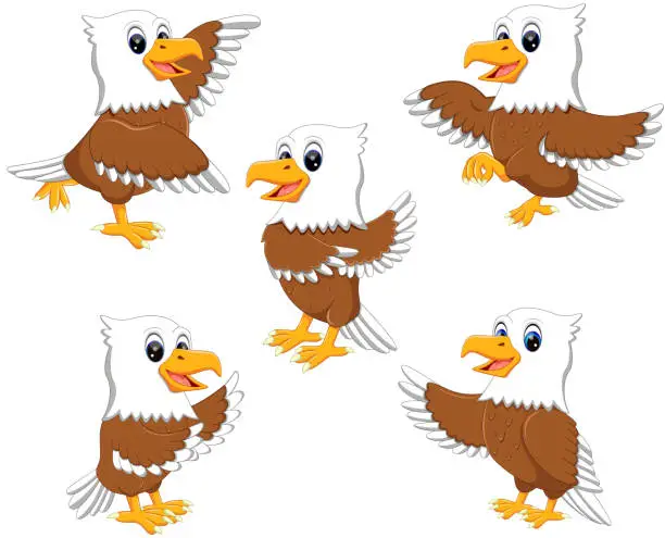 Vector illustration of collection of the dashing eagle in the different posing