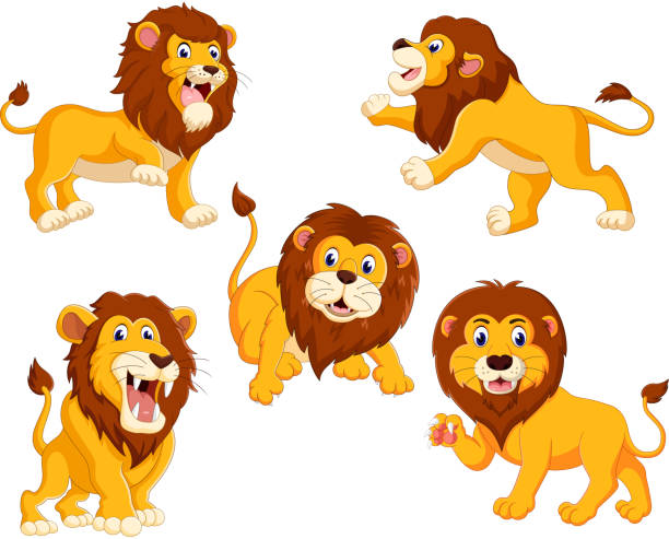 ilustrações, clipart, desenhos animados e ícones de a coleção dos leões com diferentes posando - lions tooth