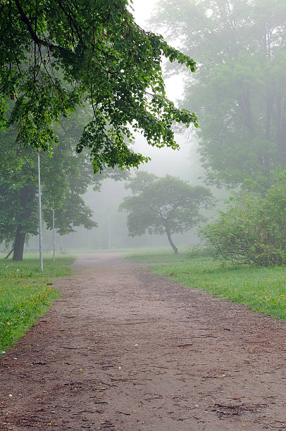 istock Early spring morning in city park. 104395640