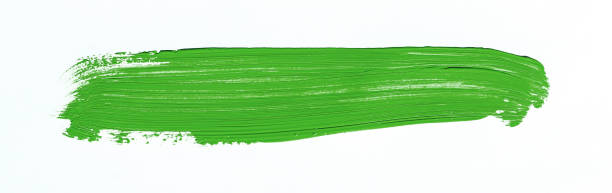 pennellata viola su sfondo bianco - oil painting brush stroke abstract green foto e immagini stock