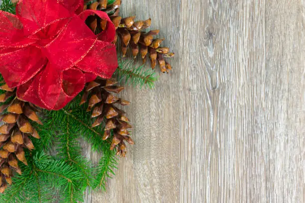A red bow and three white pine cones on spruce boughs with copy space