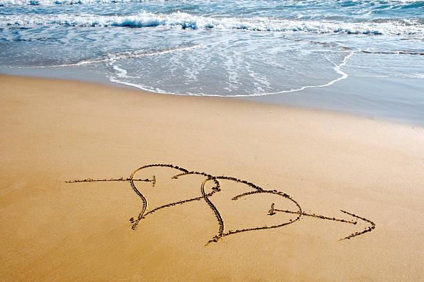 istock hearts in the sand 104398100