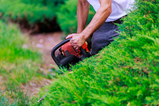 Professional gardner dressed with safety overalls using trimmer