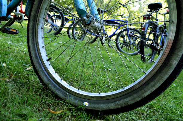 istock Ride and fun on wheels in the park 1043991818