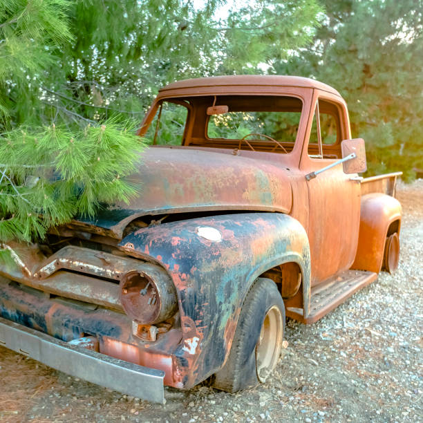 istock Rusting pickup truck beside prolific trees 1043997908