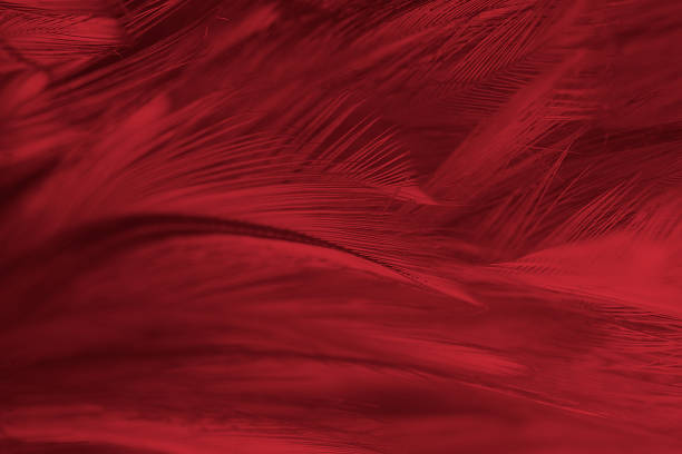 istock dark red vintage color trends feather texture background 1044007328