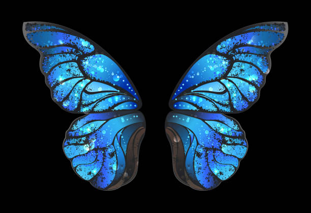 blue butterfly wings Detailed, blue butterfly wings morphines on black background. aircraft wing stock illustrations