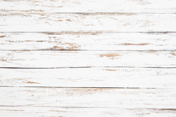 istock Wood white piant 1044019776