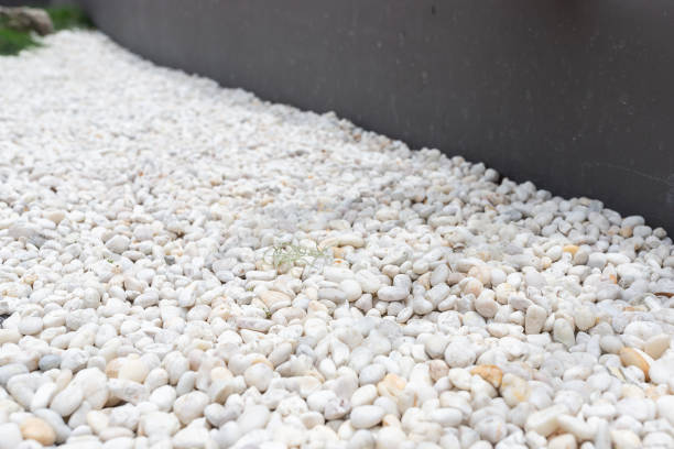 focus at white pebbles  decoration in garden.
