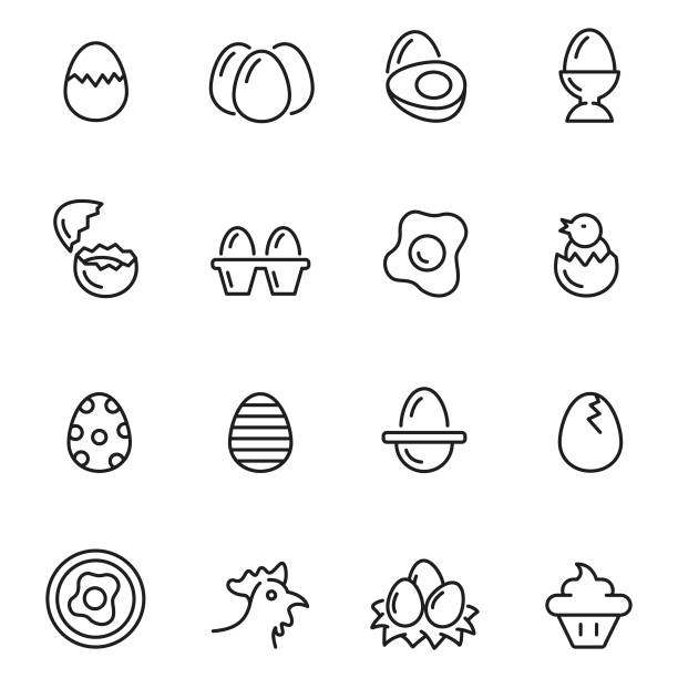 набор значков яиц - яйцо животного stock illustrations
