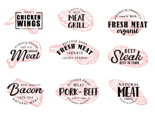 Meat food icons with lettering Meat food icons with hand drawn calligraphy lettering. Beef and pork steak, chicken leg and wings, bacon and ham sketches. Vector butcher shop label and grill restaurant symbols chicken meat illustrations stock illustrations