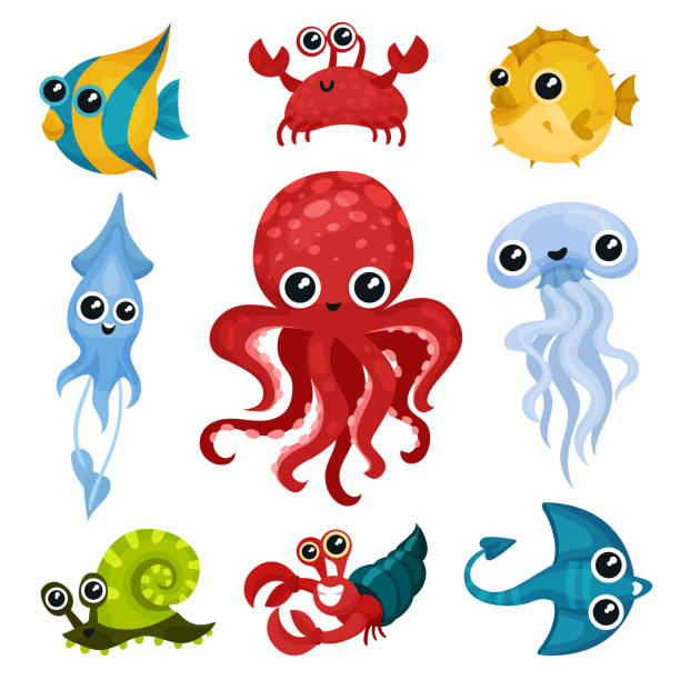 illustrations, cliparts, dessins animés et icônes de set de vector plate d’animaux différents de l’océan. créatures marines avec des yeux brillants. poulpe, escargot de mer, méduses, poissons, calmars, crabe - sea snail