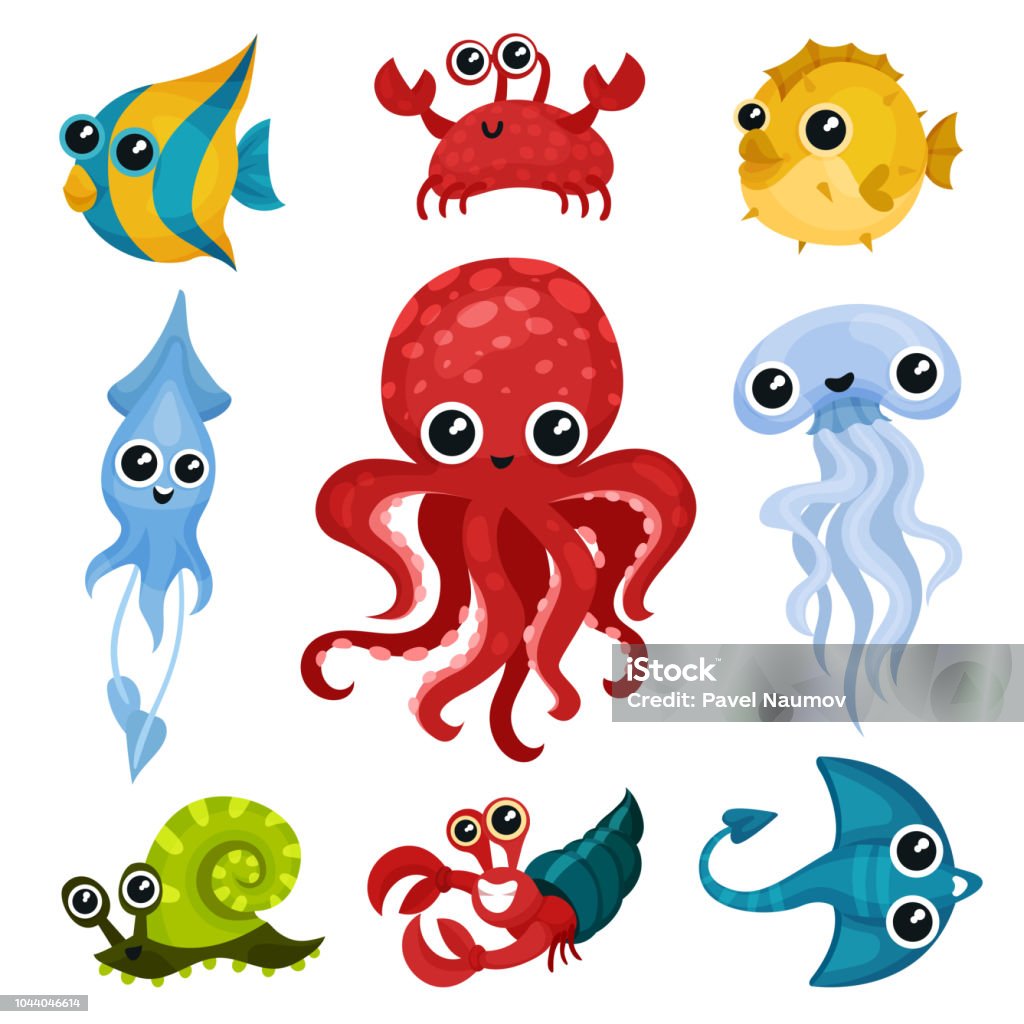 Flat Vector Set Of Different Ocean Animals Marine Creatures With Shiny Eyes  Fish Octopus Sea Snail Jellyfish Squid Crab Stock Illustration - Download  Image Now - iStock
